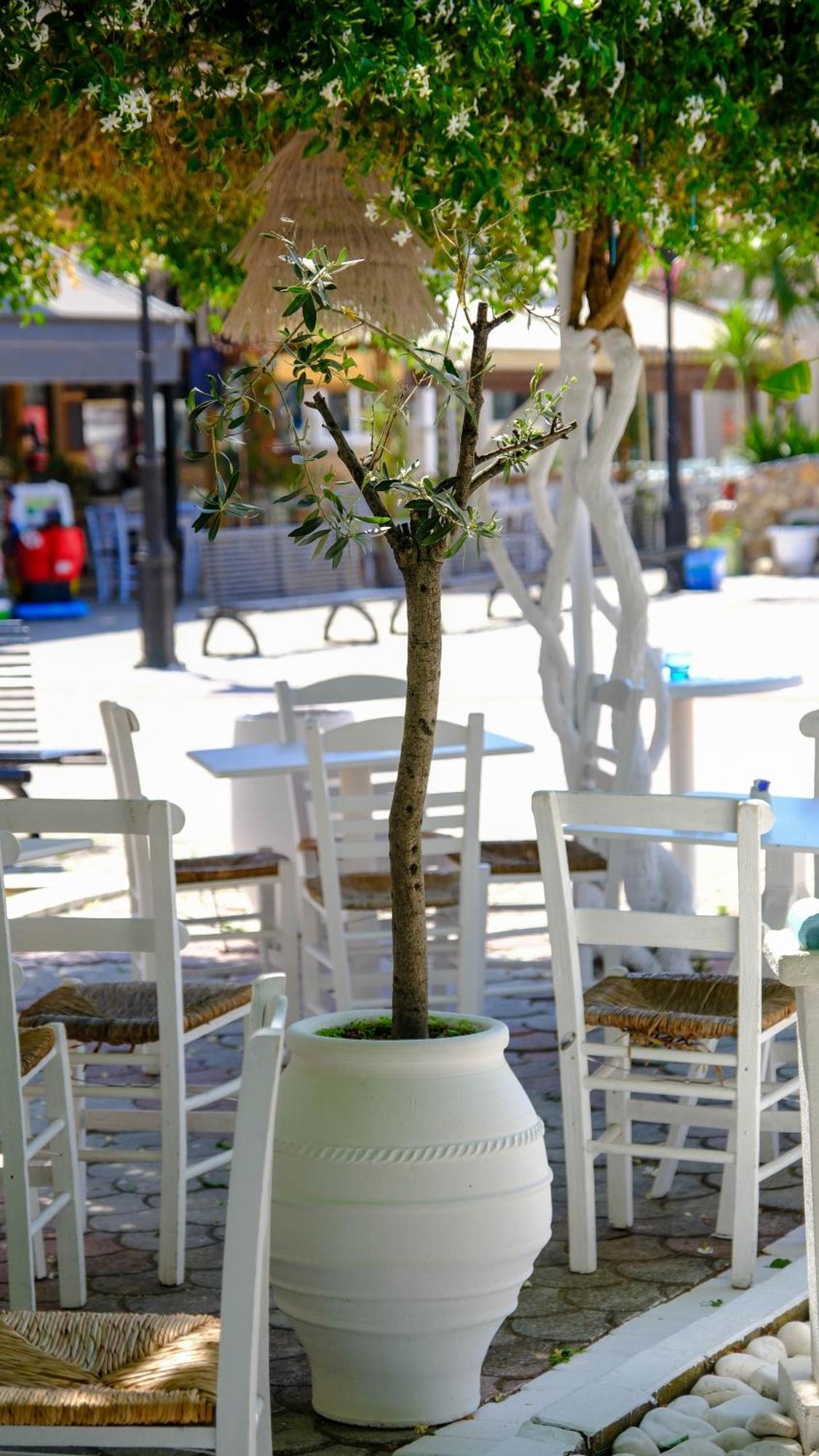 Cocoon Hotel-Beach Bar Sarti Exterior foto